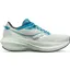 Saucony Women's Triumph 21 Misk/Ink